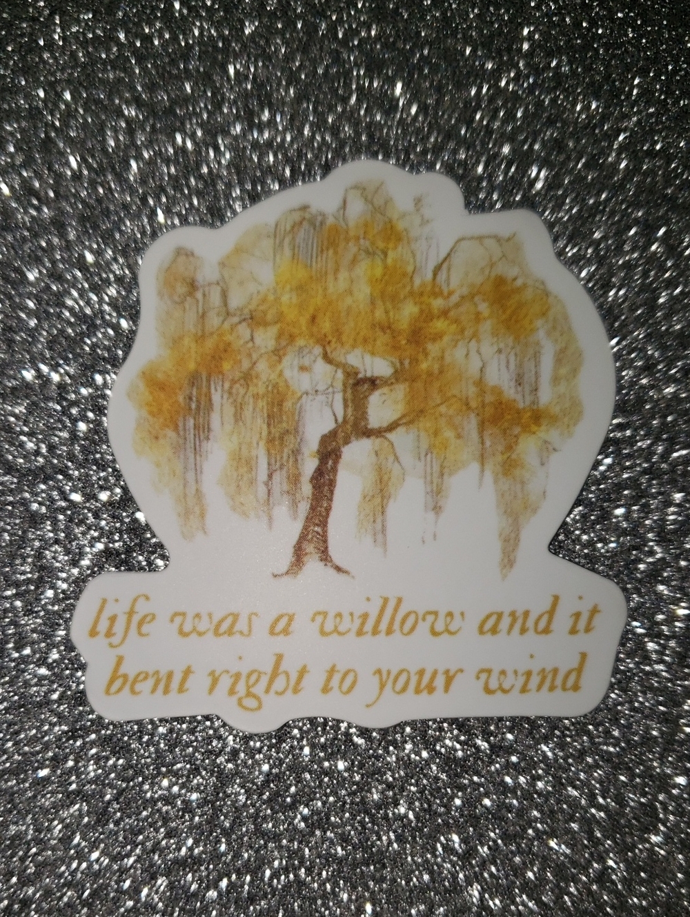 10/$10 EVERMORE Taylor Swift Waterproof Sticker